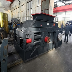 2PG1500x1000大型对辊式蜜柚免费观看视频在线发货图片